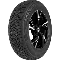 Tomason AllSeason 155/80 R13 79T  BSW 3PMSF M+S