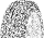 BFGoodrich Activan 215/75 R16C 116R EV Suitable
