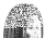 Continental ContiEcoContact EP 135/70 R15 70T