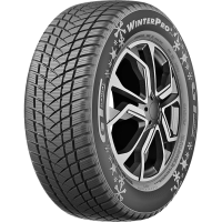 GT Radial WinterPro2 Evo 165/65 R14 79T BSW 3PMSF M+S