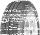Debica Presto 235/50 R19 99V SL